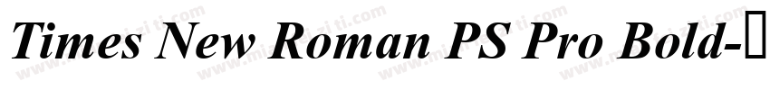 Times New Roman PS Pro Bold字体转换